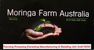 Australian Moringa Botanical Material (Dried Leaf Form) – 100g. Raw agricultural product with traditional use
