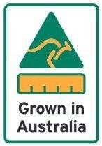 Moringa 100% Grown in Australia