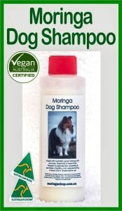 AUSTRALIAN Moringa DOGS & Animal Pets 200G - Anti-Inflammatory, Nutrients. ONLY DAYS OLD = MAXIMUM POTENCY